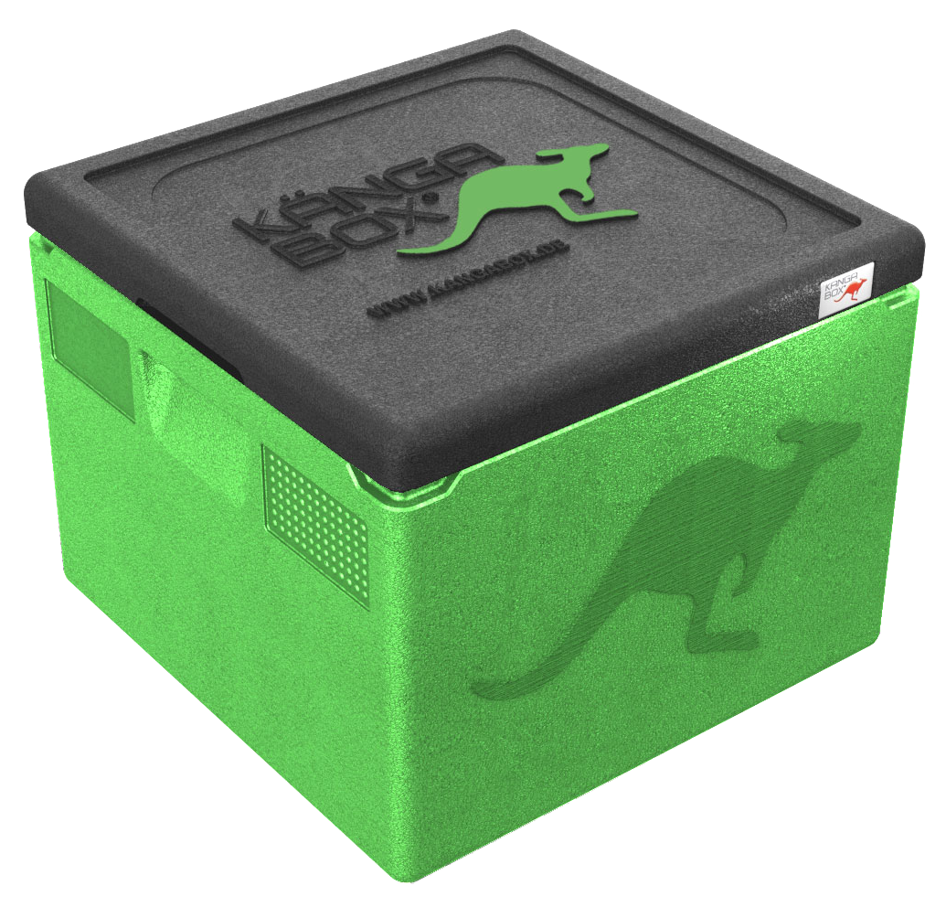 Kängabox Easy lime