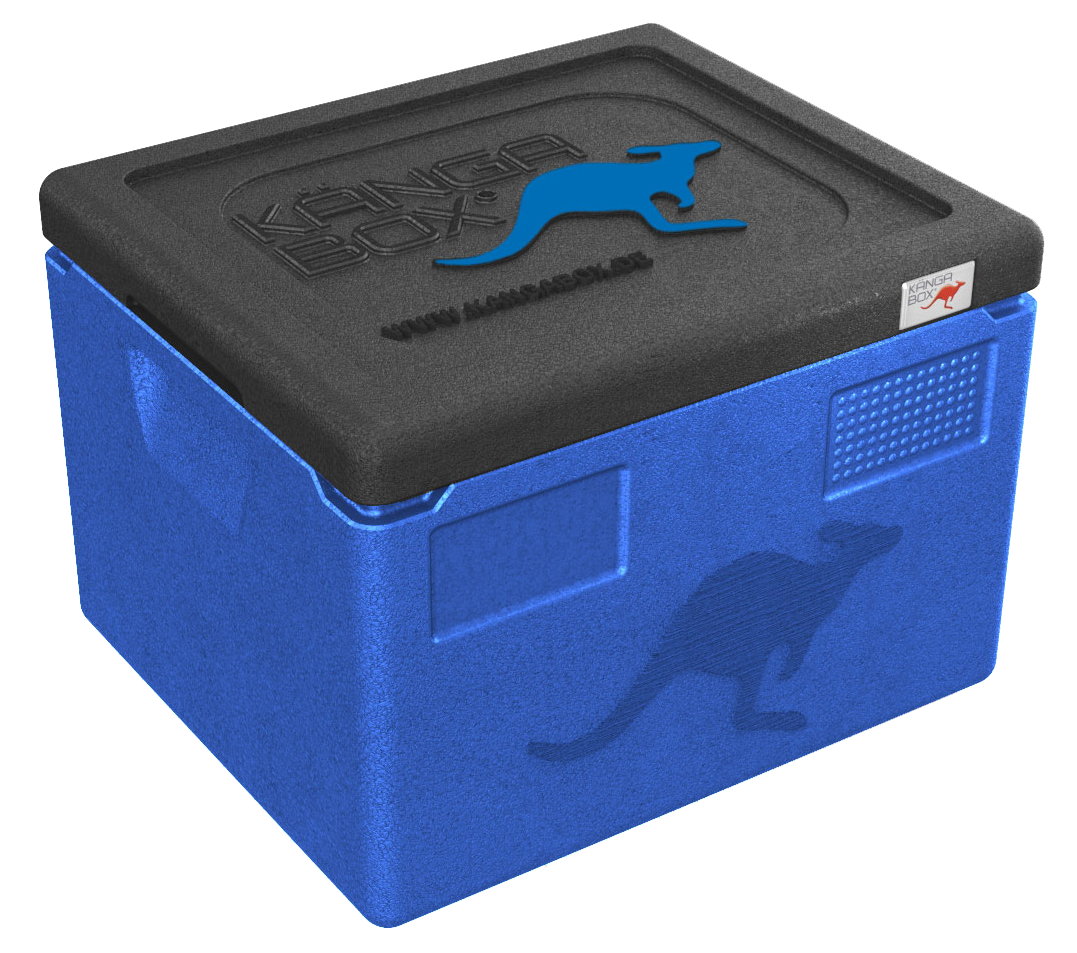 Kängabox Expert GN 1/2 blau