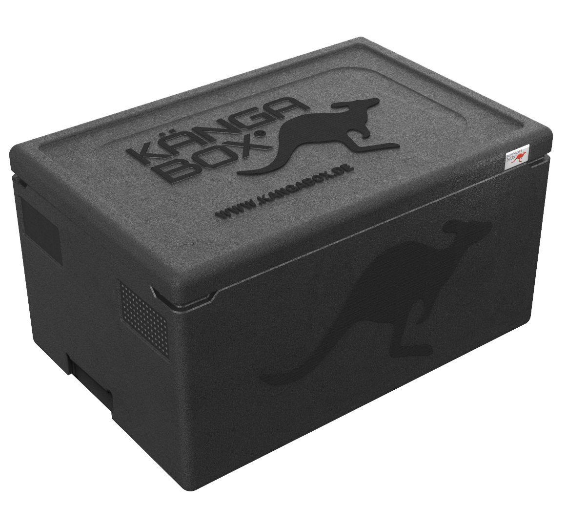Kängabox Professional 1/1 Unterfassgriffe