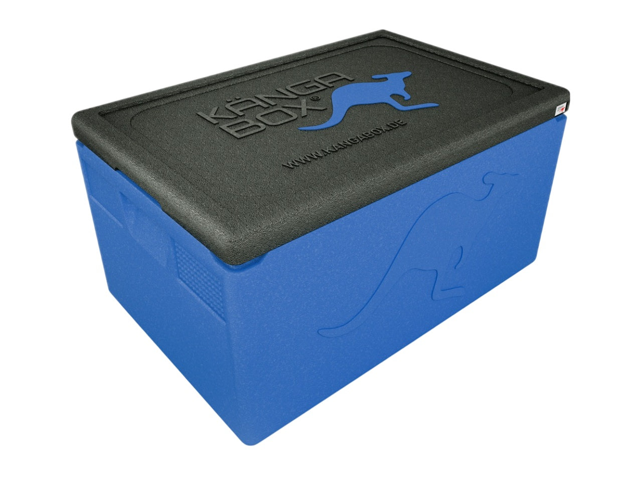 Thermobox professionale per GN 1/1 – Maniglie standard