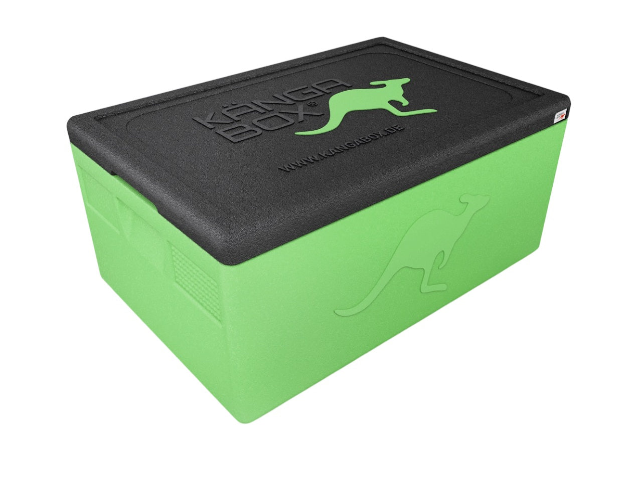 Thermobox professionale per GN 1/1 – Maniglie standard