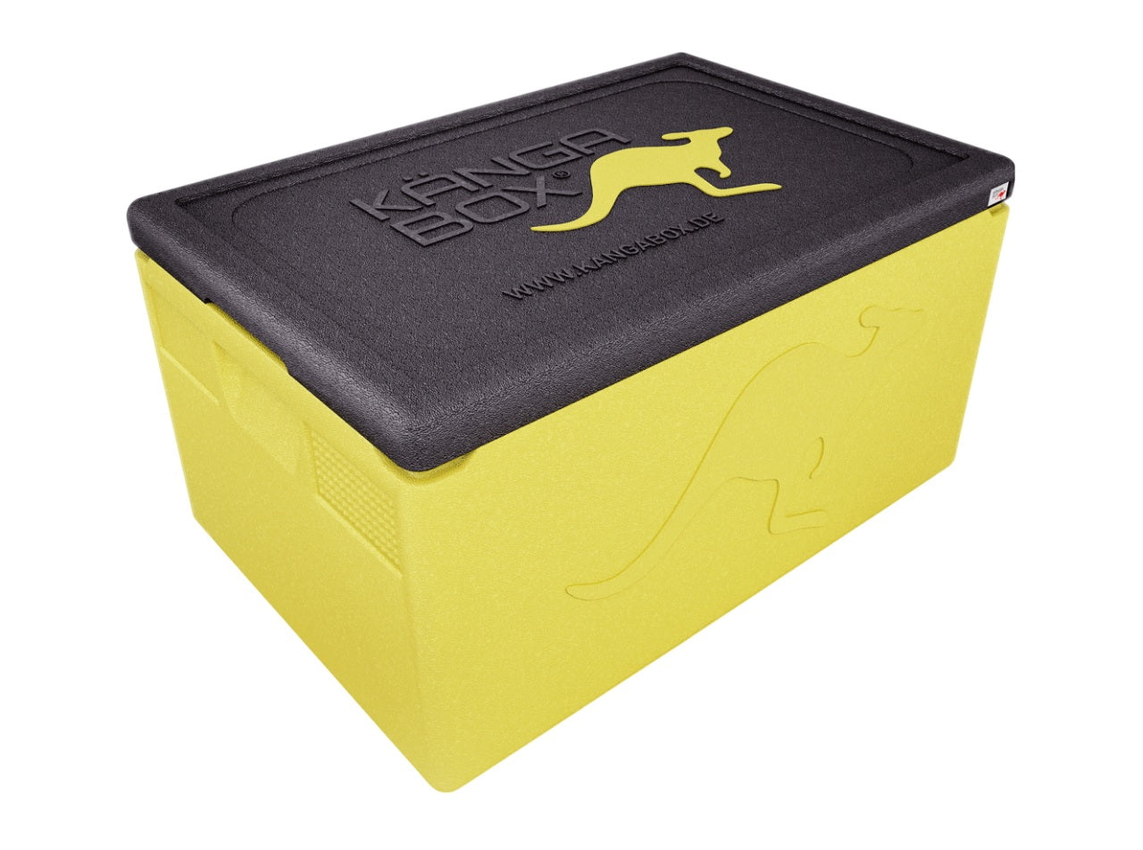 Thermobox professionale per GN 1/1 – Maniglie standard