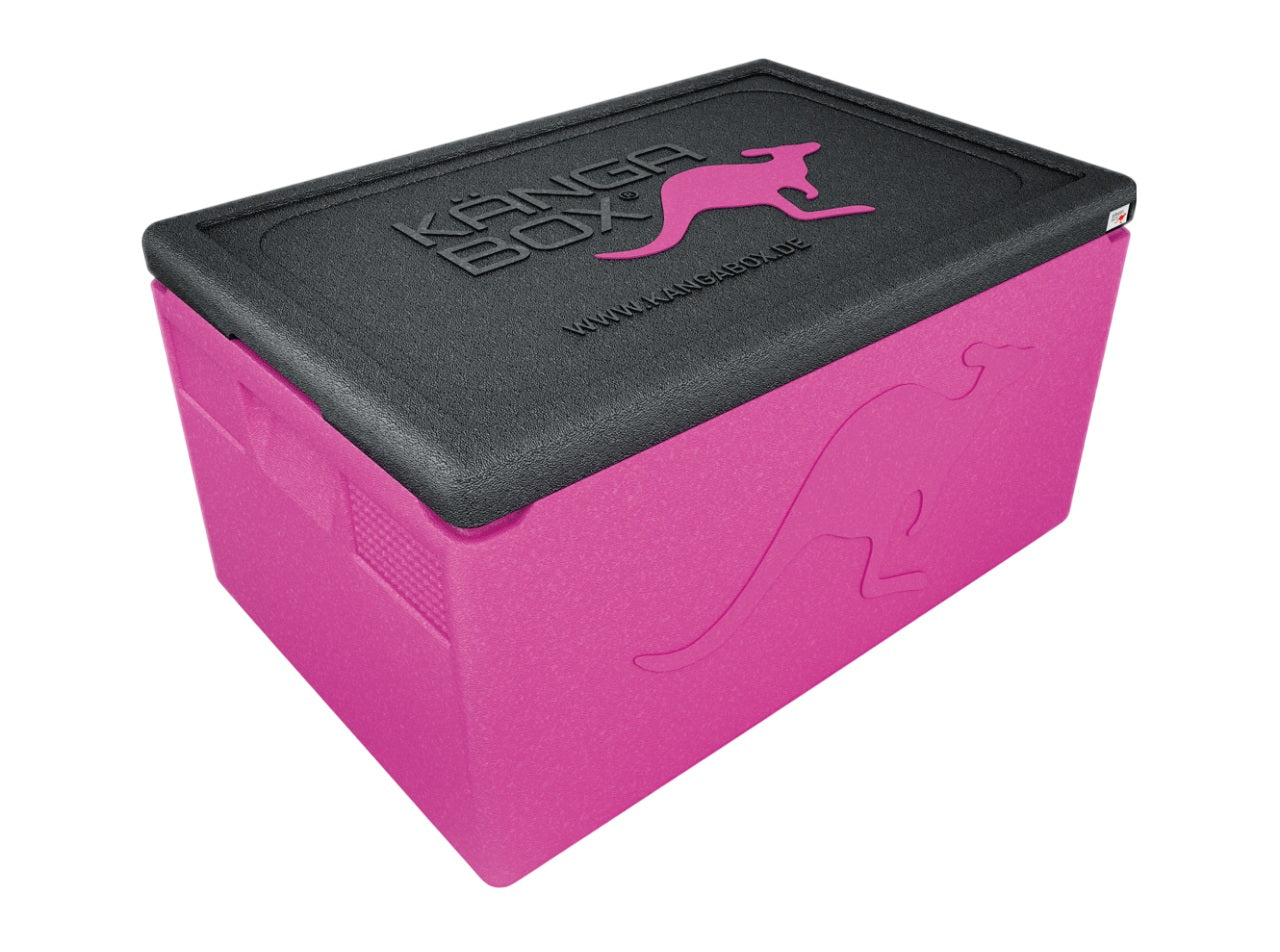 Thermobox professionale per GN 1/1 – Maniglie standard