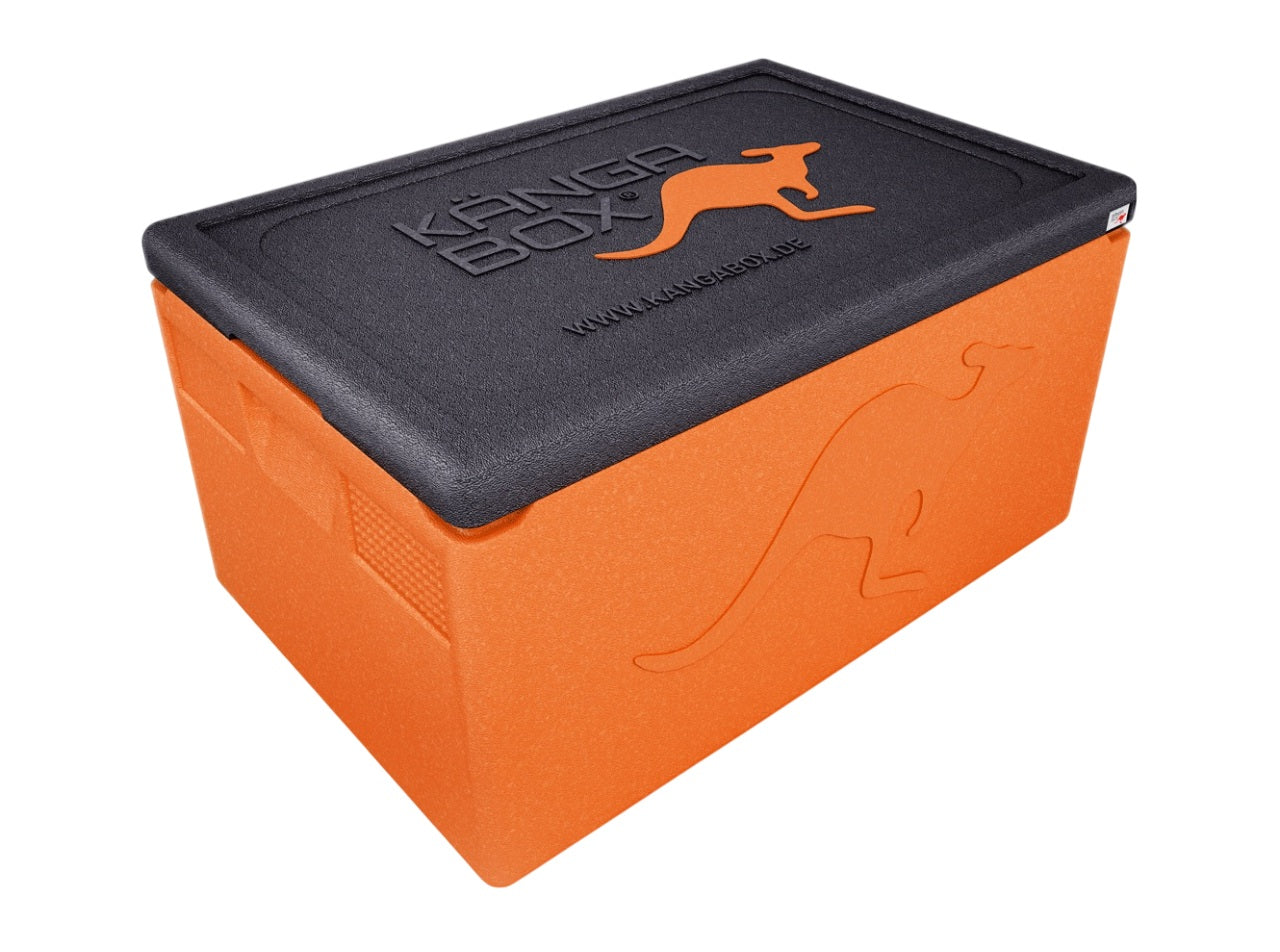 Thermobox professionale per GN 1/1 – Maniglie standard