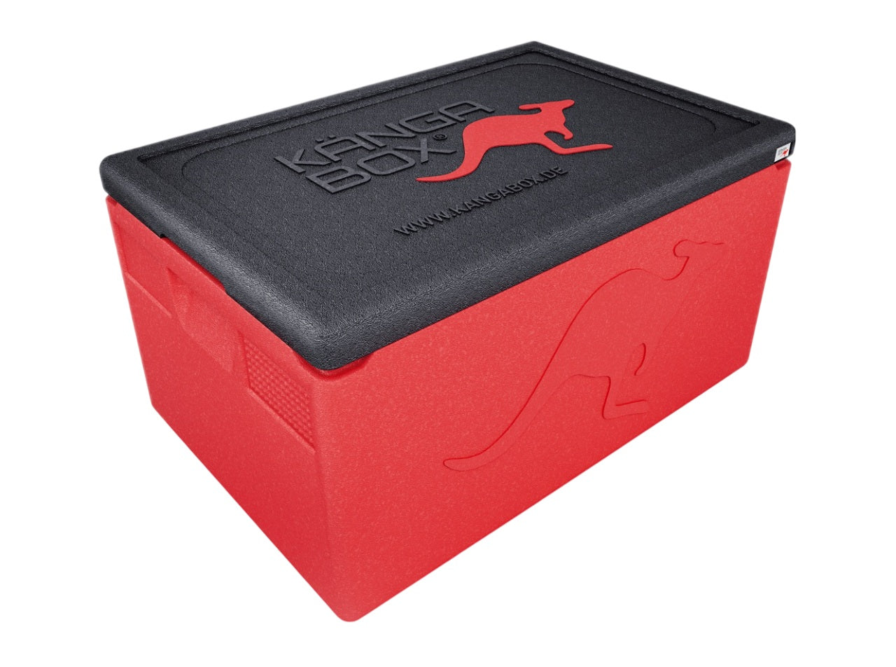 Thermobox professionale per GN 1/1 – Maniglie standard