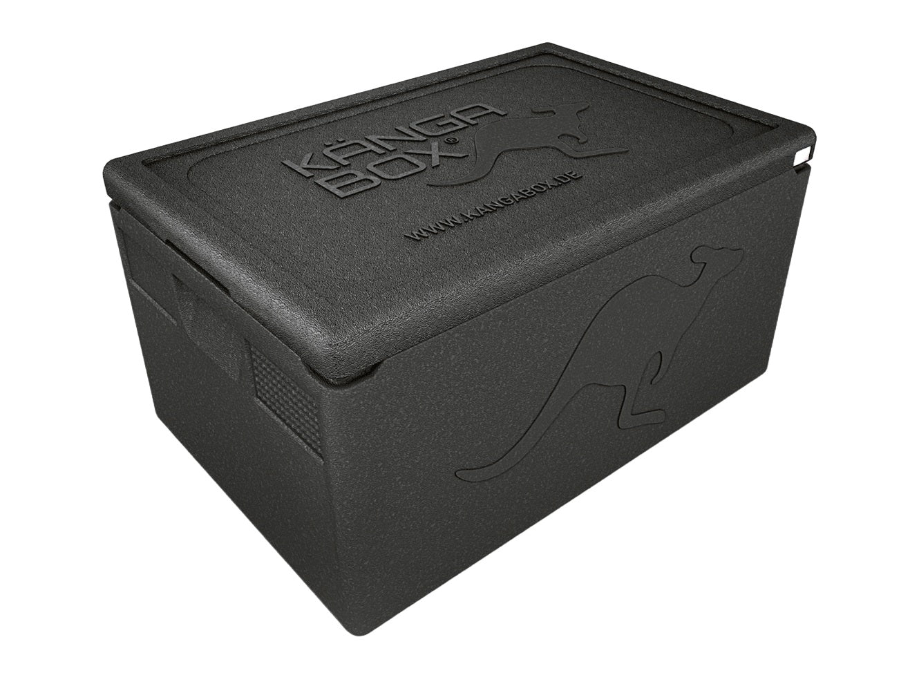 Thermobox professionale per GN 1/1 – Maniglie standard