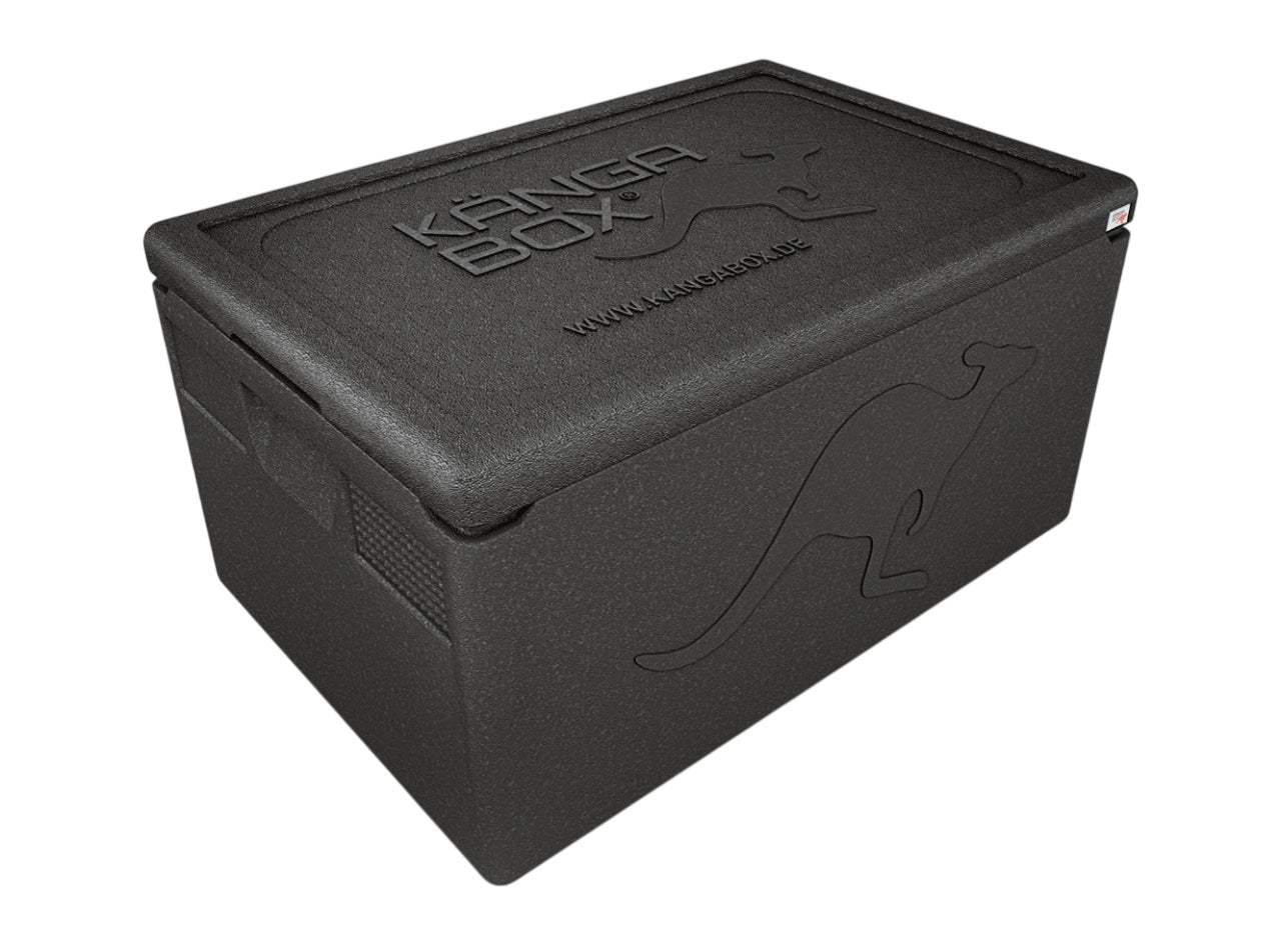 Thermobox professionale per GN 1/1 – Maniglie standard