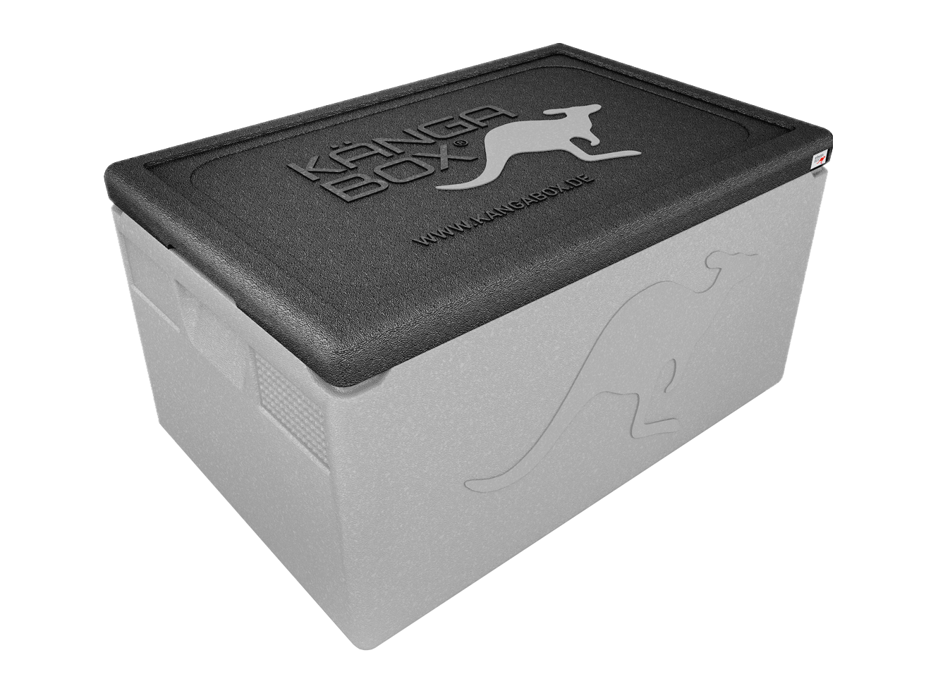 Thermobox professionale per GN 1/1 – Maniglie standard