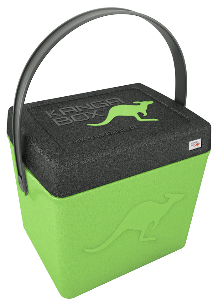 Kängabox Trip lime