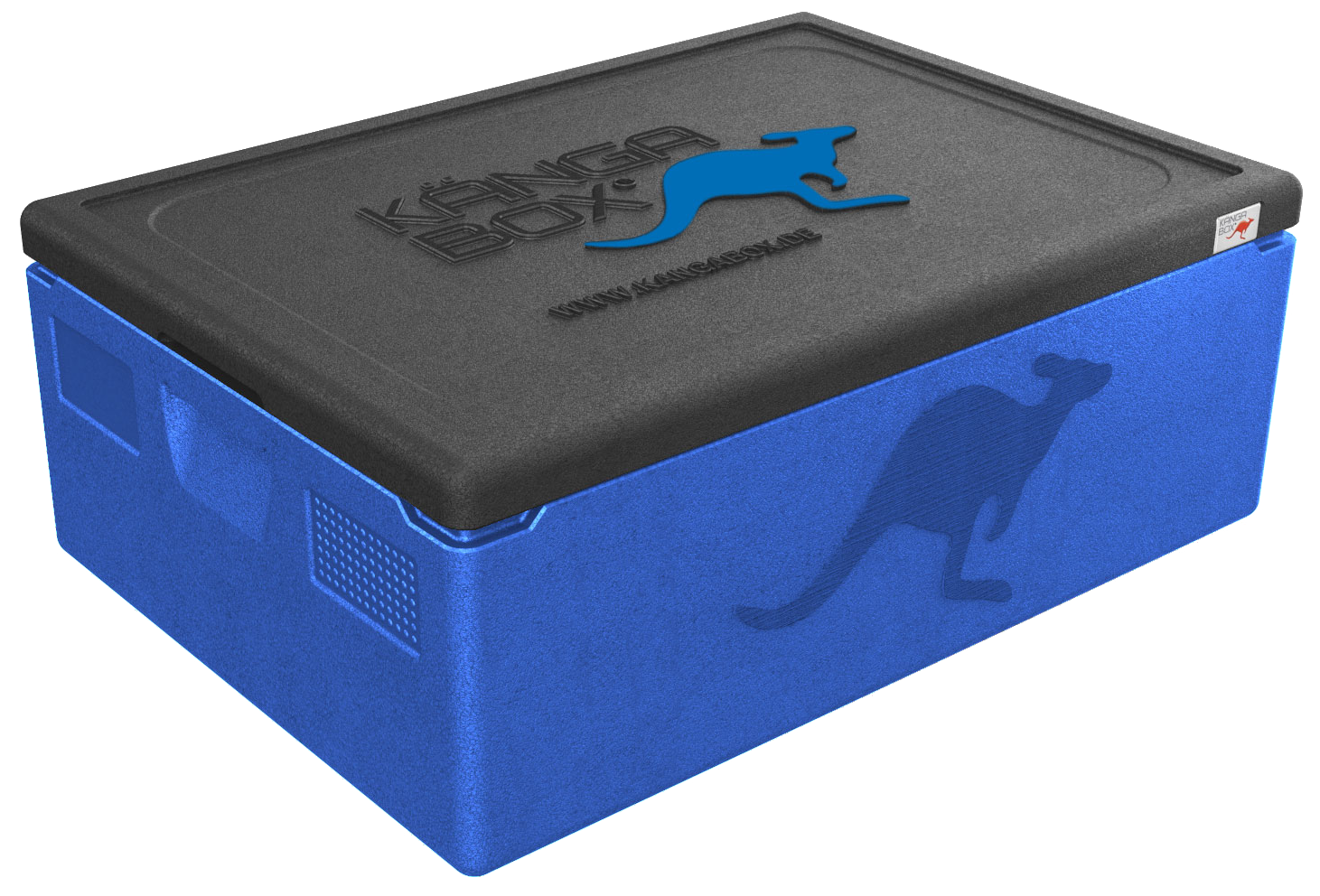 Kängabox Expert 60x40 blau