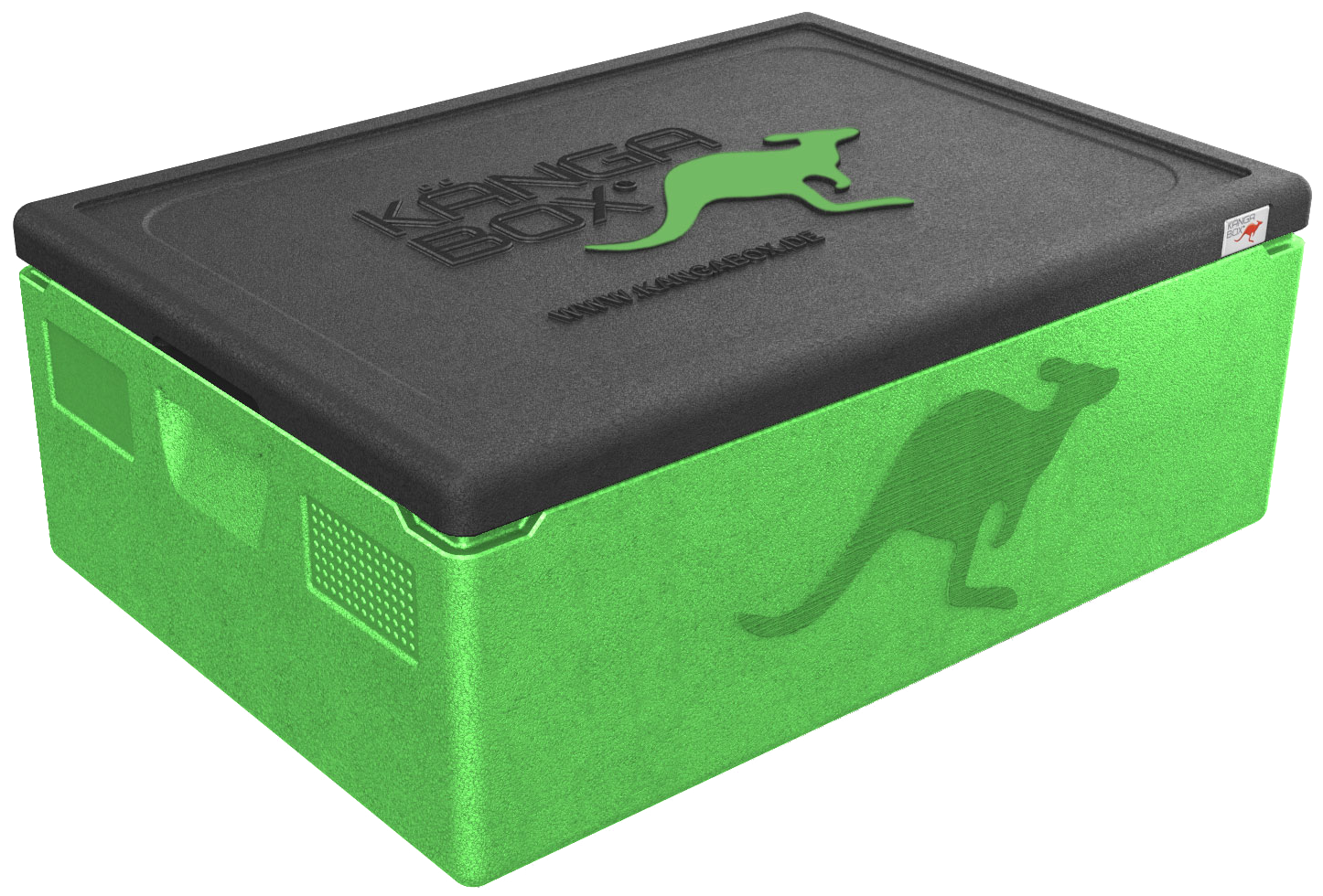 Kängabox Expert 60x40 lime